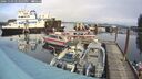 ./images/quadra/hbidock/20241103/hbidock20241103_123503M.jpg