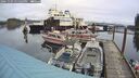 ./images/quadra/hbidock/20241103/hbidock20241103_125504M.jpg
