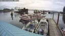 ./images/quadra/hbidock/20241103/hbidock20241103_132503M.jpg
