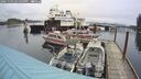 ./images/quadra/hbidock/20241103/hbidock20241103_145503M.jpg