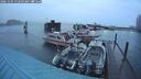 ./images/quadra/hbidock/20241104/hbidock20241104_072503M.jpg