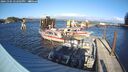 ./images/quadra/hbidock/20241104/hbidock20241104_142503M.jpg