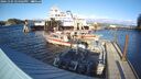 ./images/quadra/hbidock/20241104/hbidock20241104_144502M.jpg