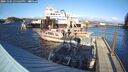 ./images/quadra/hbidock/20241104/hbidock20241104_145504M.jpg