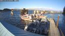 ./images/quadra/hbidock/20241104/hbidock20241104_151504M.jpg