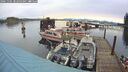 ./images/quadra/hbidock/20241105/hbidock20241105_082503M.jpg