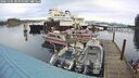 ./images/quadra/hbidock/20241105/hbidock20241105_085000M.jpg