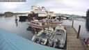 ./images/quadra/hbidock/20241105/hbidock20241105_085003M.jpg