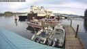 ./images/quadra/hbidock/20241105/hbidock20241105_085500M.jpg