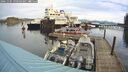 ./images/quadra/hbidock/20241105/hbidock20241105_090503M.jpg