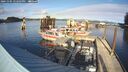 ./images/quadra/hbidock/20241105/hbidock20241105_142503M.jpg