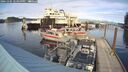 ./images/quadra/hbidock/20241105/hbidock20241105_145000M.jpg