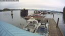 ./images/quadra/hbidock/20241106/hbidock20241106_095003M.jpg