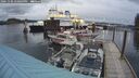 ./images/quadra/hbidock/20241106/hbidock20241106_170003M.jpg