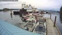 ./images/quadra/hbidock/20241107/hbidock20241107_091003M.jpg
