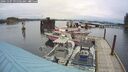 ./images/quadra/hbidock/20241107/hbidock20241107_095503M.jpg