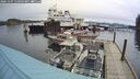 ./images/quadra/hbidock/20241107/hbidock20241107_110503M.jpg