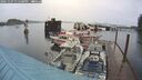 ./images/quadra/hbidock/20241107/hbidock20241107_135500M.jpg