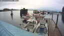 ./images/quadra/hbidock/20241107/hbidock20241107_151504M.jpg