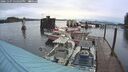 ./images/quadra/hbidock/20241107/hbidock20241107_152503M.jpg