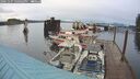 ./images/quadra/hbidock/20241107/hbidock20241107_160502M.jpg