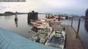 ./images/quadra/hbidock/20241107/hbidock20241107_161002M.jpg