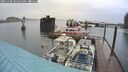 ./images/quadra/hbidock/20241108/hbidock20241108_081502M.jpg