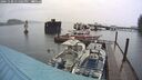 ./images/quadra/hbidock/20241108/hbidock20241108_131501M.jpg