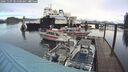 ./images/quadra/hbidock/20241109/hbidock20241109_084500M.jpg
