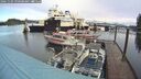 ./images/quadra/hbidock/20241109/hbidock20241109_090500M.jpg