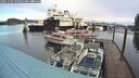 ./images/quadra/hbidock/20241109/hbidock20241109_090502M.jpg