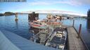 ./images/quadra/hbidock/20241109/hbidock20241109_140500M.jpg