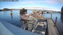 ./images/quadra/hbidock/20241109/hbidock20241109_140502M.jpg