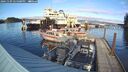 ./images/quadra/hbidock/20241109/hbidock20241109_145000M.jpg