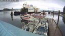 ./images/quadra/hbidock/20241110/hbidock20241110_085500M.jpg