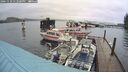 ./images/quadra/hbidock/20241110/hbidock20241110_132500M.jpg