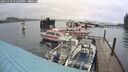 ./images/quadra/hbidock/20241110/hbidock20241110_132501M.jpg