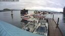./images/quadra/hbidock/20241110/hbidock20241110_143502M.jpg
