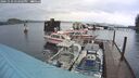 ./images/quadra/hbidock/20241110/hbidock20241110_152502M.jpg
