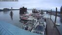 ./images/quadra/hbidock/20241111/hbidock20241111_072500M.jpg