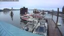 ./images/quadra/hbidock/20241111/hbidock20241111_074001M.jpg