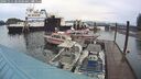./images/quadra/hbidock/20241111/hbidock20241111_083500M.jpg