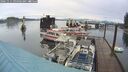 ./images/quadra/hbidock/20241111/hbidock20241111_094502M.jpg