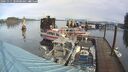 ./images/quadra/hbidock/20241111/hbidock20241111_100500M.jpg