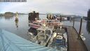 ./images/quadra/hbidock/20241111/hbidock20241111_100502M.jpg