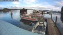 ./images/quadra/hbidock/20241111/hbidock20241111_113002M.jpg