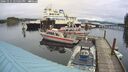 ./images/quadra/hbidock/20241111/hbidock20241111_125002M.jpg