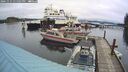 ./images/quadra/hbidock/20241111/hbidock20241111_131502M.jpg
