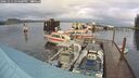 ./images/quadra/hbidock/20241111/hbidock20241111_154500M.jpg