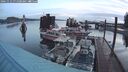 ./images/quadra/hbidock/20241112/hbidock20241112_071501M.jpg
